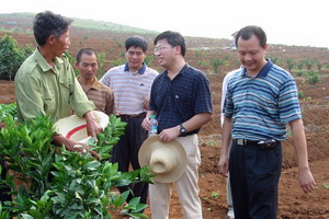 橙香满神州——记中国工程院院士、华中农业大学教授邓秀新