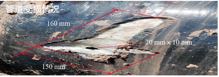 农村供水治理典型案例⑥丨松江：完善联动机制合力确保农村供水安